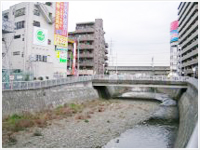 境川にかかる橋。ここにヤマトナデシコの“たちんぼ”が出ます