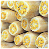 切り口が藩主細川藩の家紋にそっくり？