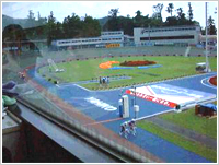 自然に囲まれた村営の弥彦競輪場