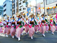 夏は「おどらなそんそん」阿波踊り