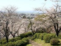 菊池神社からの風景