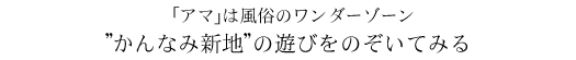 #4 かんなみ新地（兵庫県）