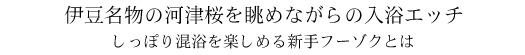 #40 伊東温泉（静岡県）