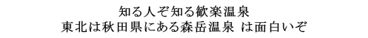 #64 森岳温泉（秋田県）