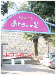 温泉も枯渇し始めている…